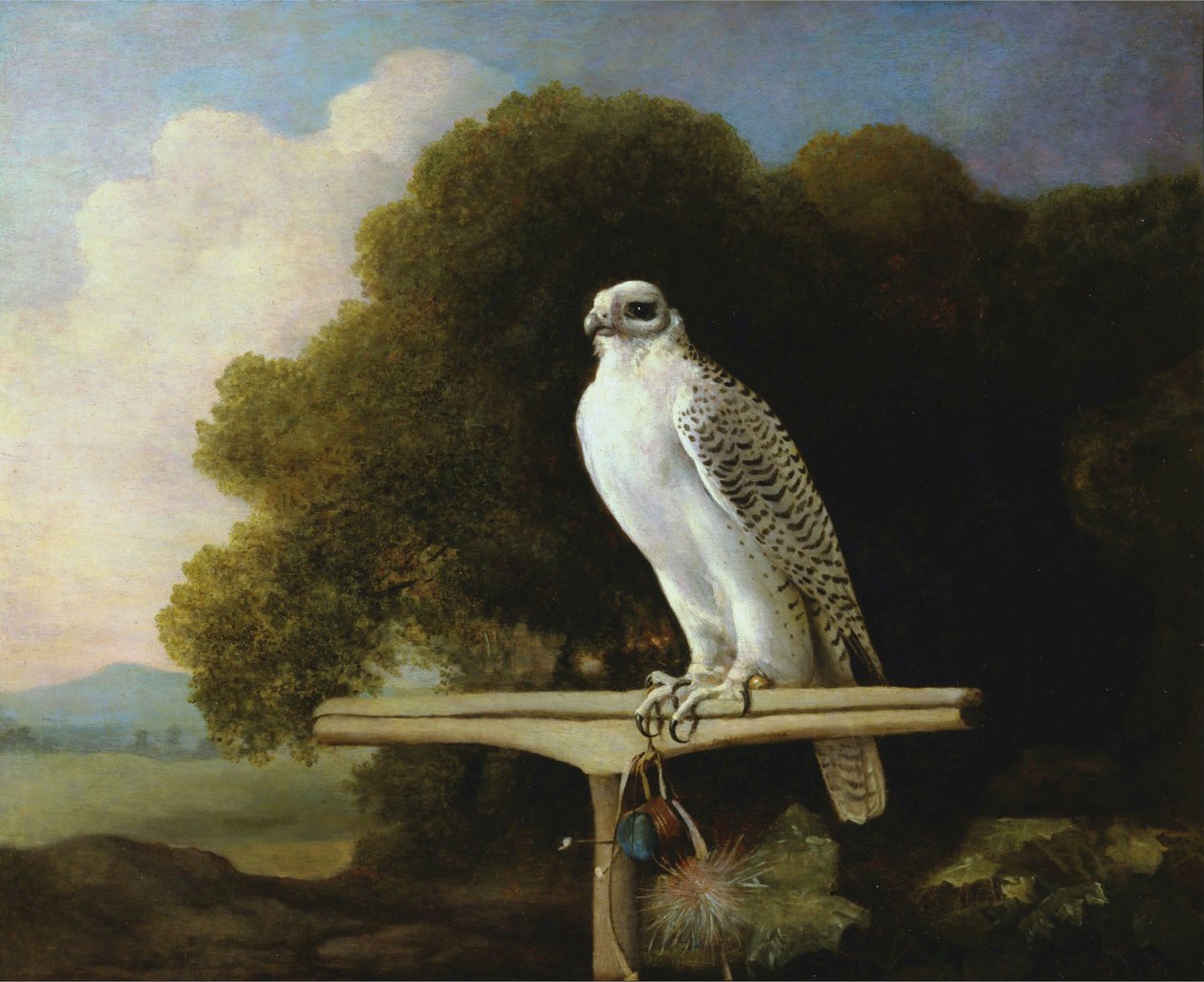 Grönlanninhaukka tekijältä George Stubbs