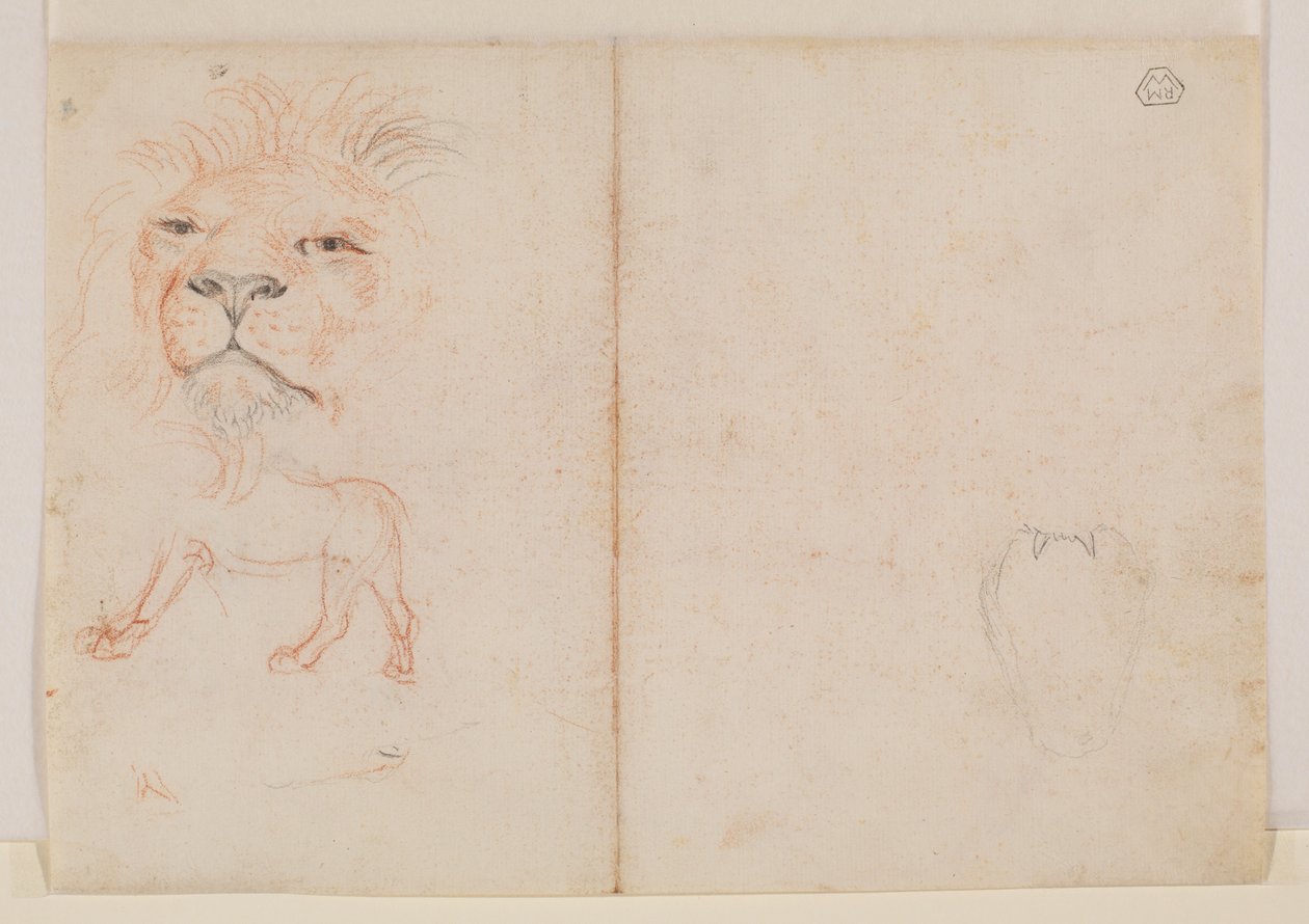 Leijonan pää, verso, 1700- tai 1800-luku tekijältä George Stubbs