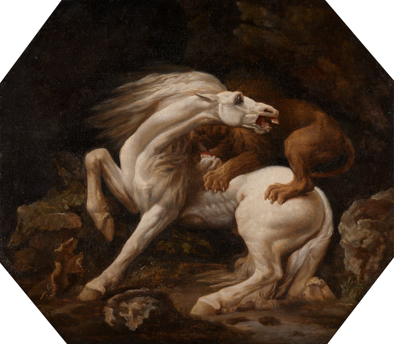 Leijonan kimppuun hevosen kimppuun (jakso C) tekijältä George Stubbs