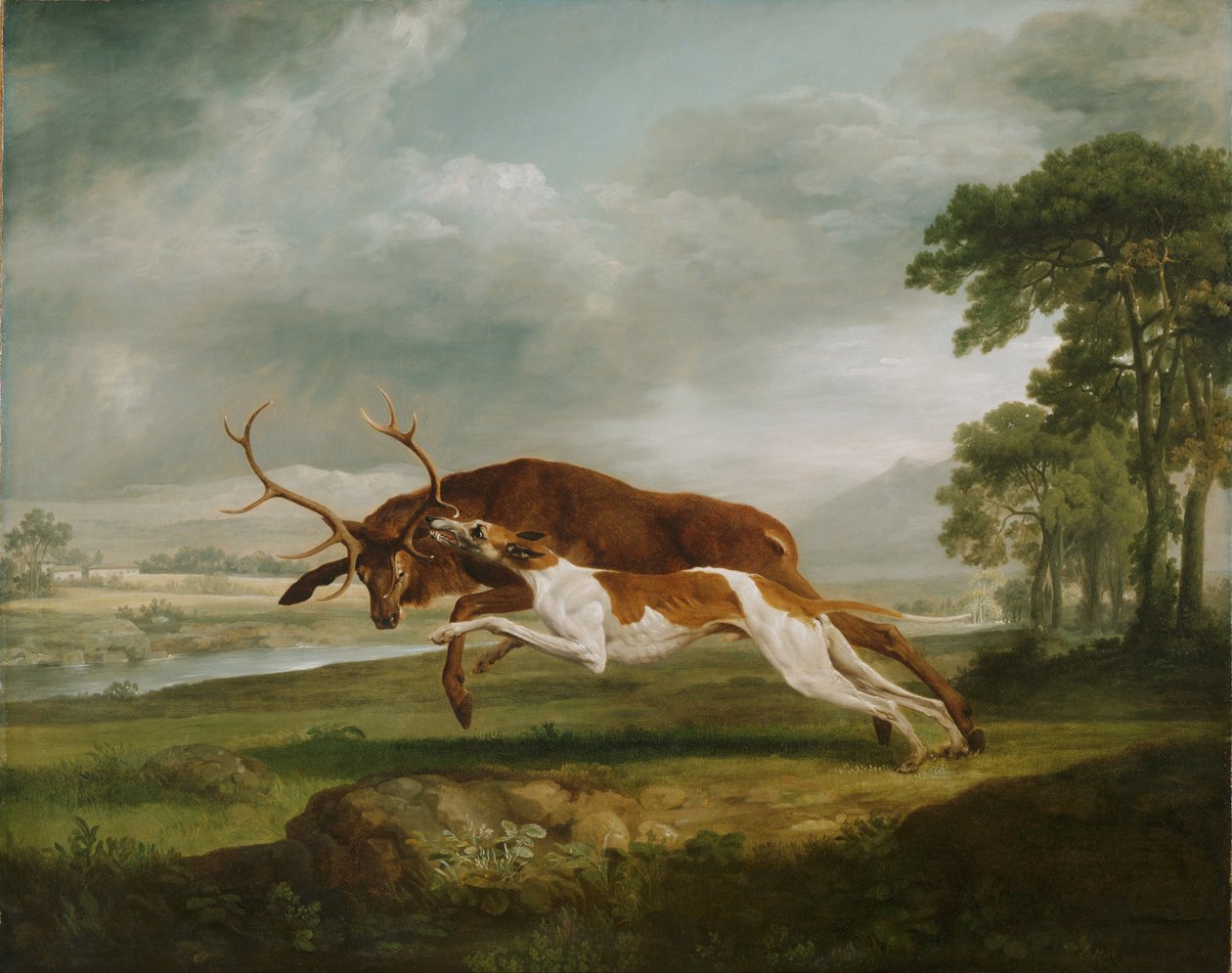 Koiran kurssitus hirven kanssa tekijältä George Stubbs