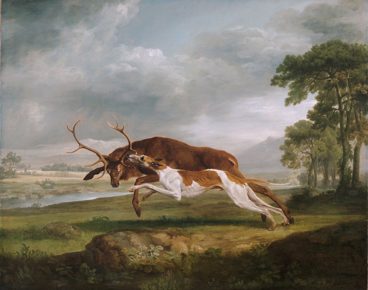 Koira kurssi polttarit tekijältä George Stubbs