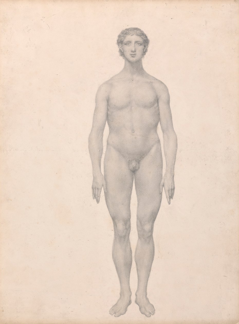 Ihmishahmo, etunäkymä, leikkaamaton (valmiit taulukon VI tutkimus) tekijältä George Stubbs
