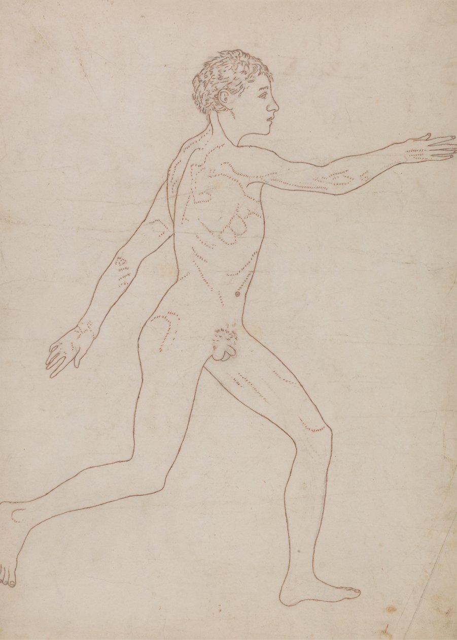 Figura Humana, Vista Lateral (Esboço do Estudo no Reverso da Tabela VIII) finlandês tekijältä George Stubbs