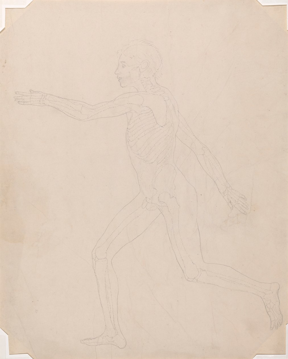 Ihmishahmo, sivunäkymä tekijältä George Stubbs
