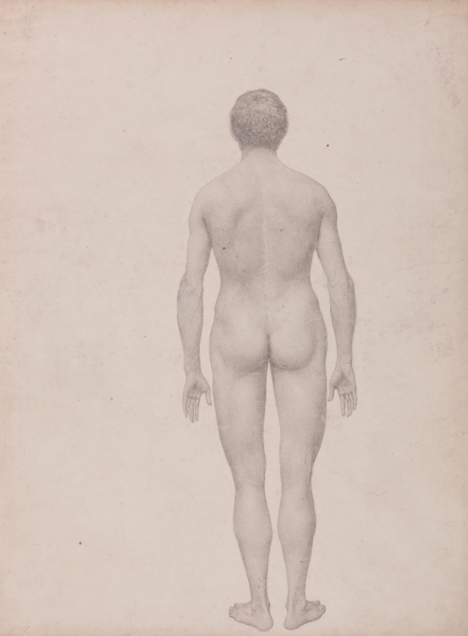 Ihmishahmo, takanäkymä, leikkaamaton (valmiit taulukon VII tutkimus) tekijältä George Stubbs