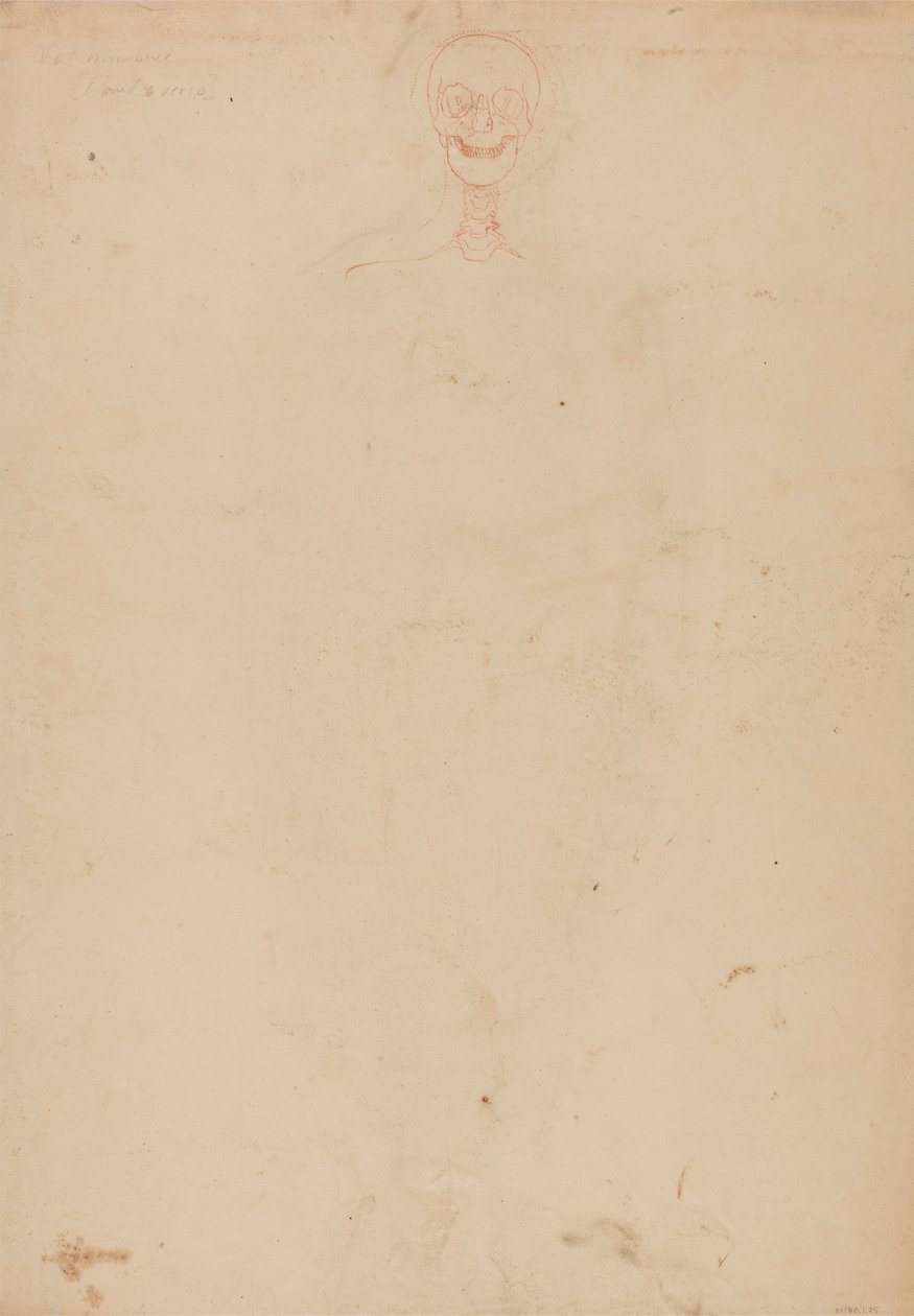 Ihmisen luuranko, etunäkymä tekijältä George Stubbs