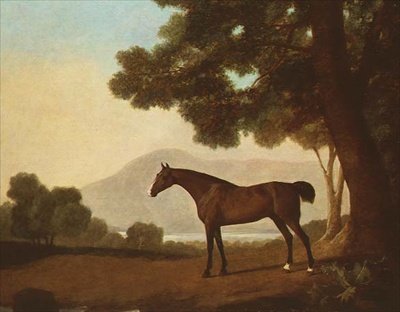 "Johnny", lahti ori metsäisessä maisemassa tekijältä George Stubbs