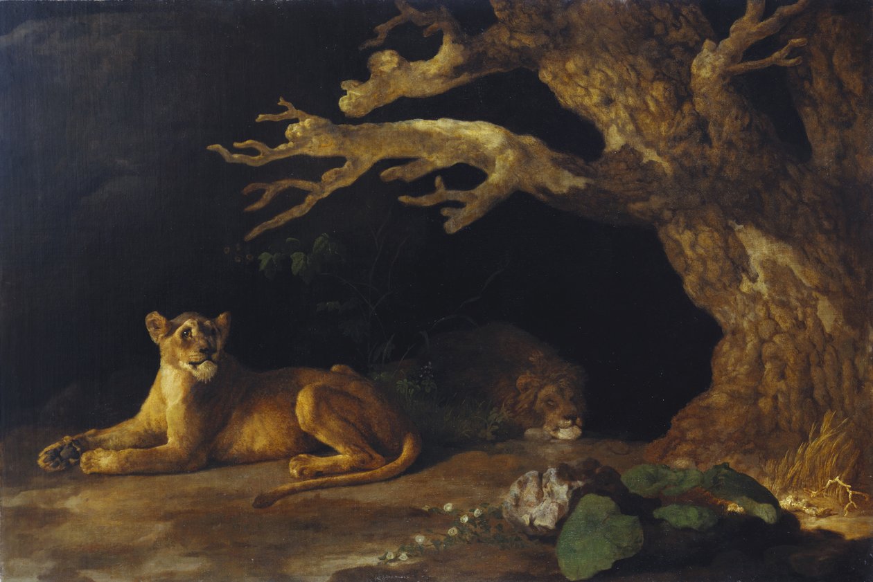 Leijona ja luola tekijältä George Stubbs