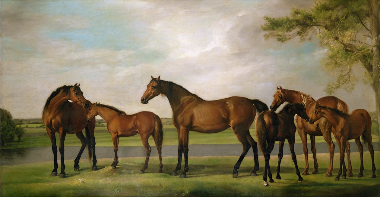 Lähestyvän myrskyn häiritsemät tammat ja varsat, 1764-66 tekijältä George Stubbs
