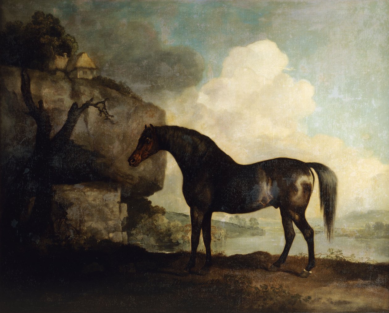Marske" tekijältä George Stubbs