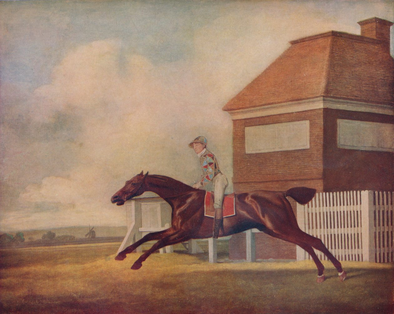 Mr. Ogilvys Bay Racehorse Trentham Newmarketissa Jockeyn kanssa, 1771 tekijältä George Stubbs