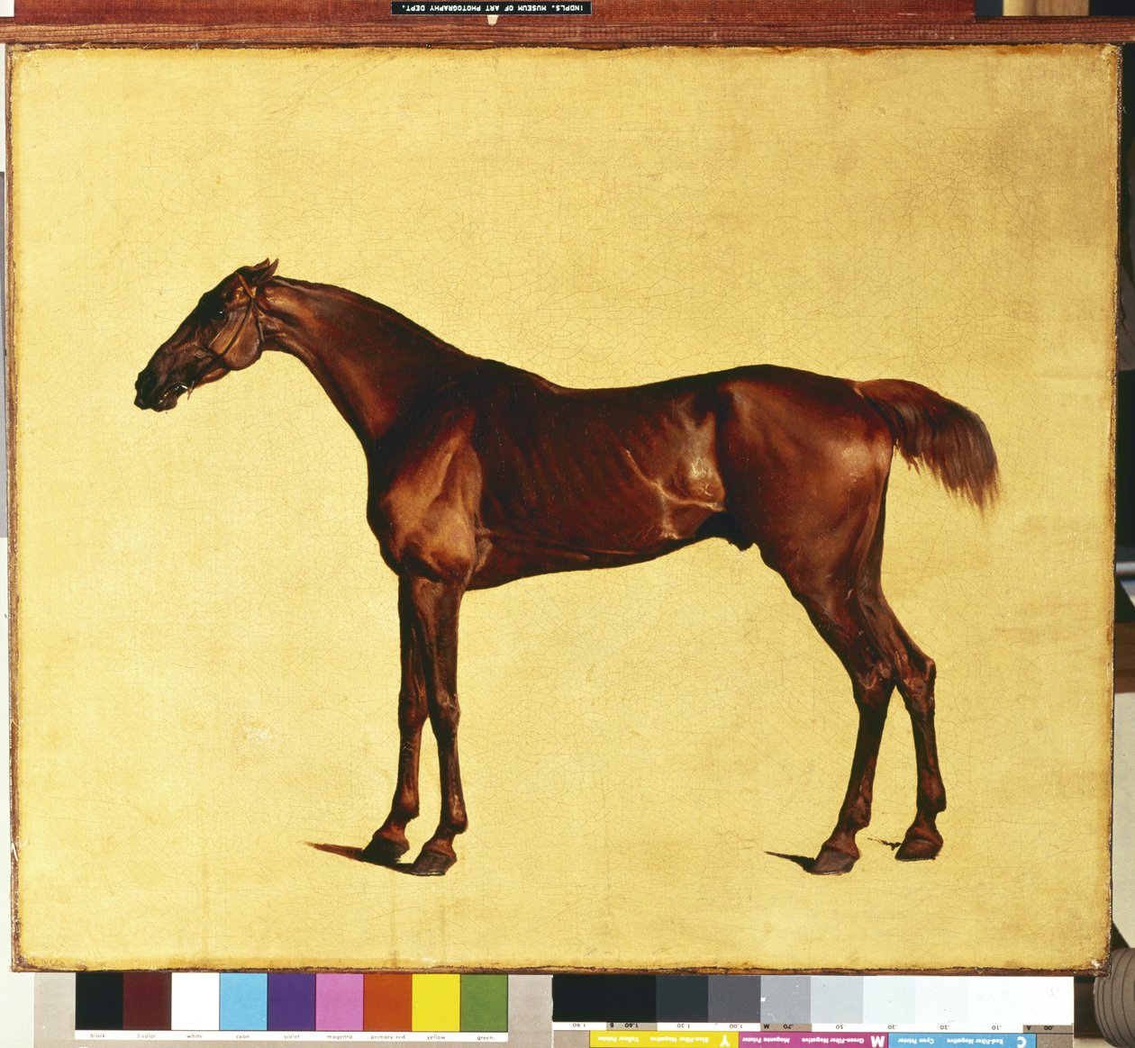 Pangloss (öljy kankaalle) tekijältä George Stubbs