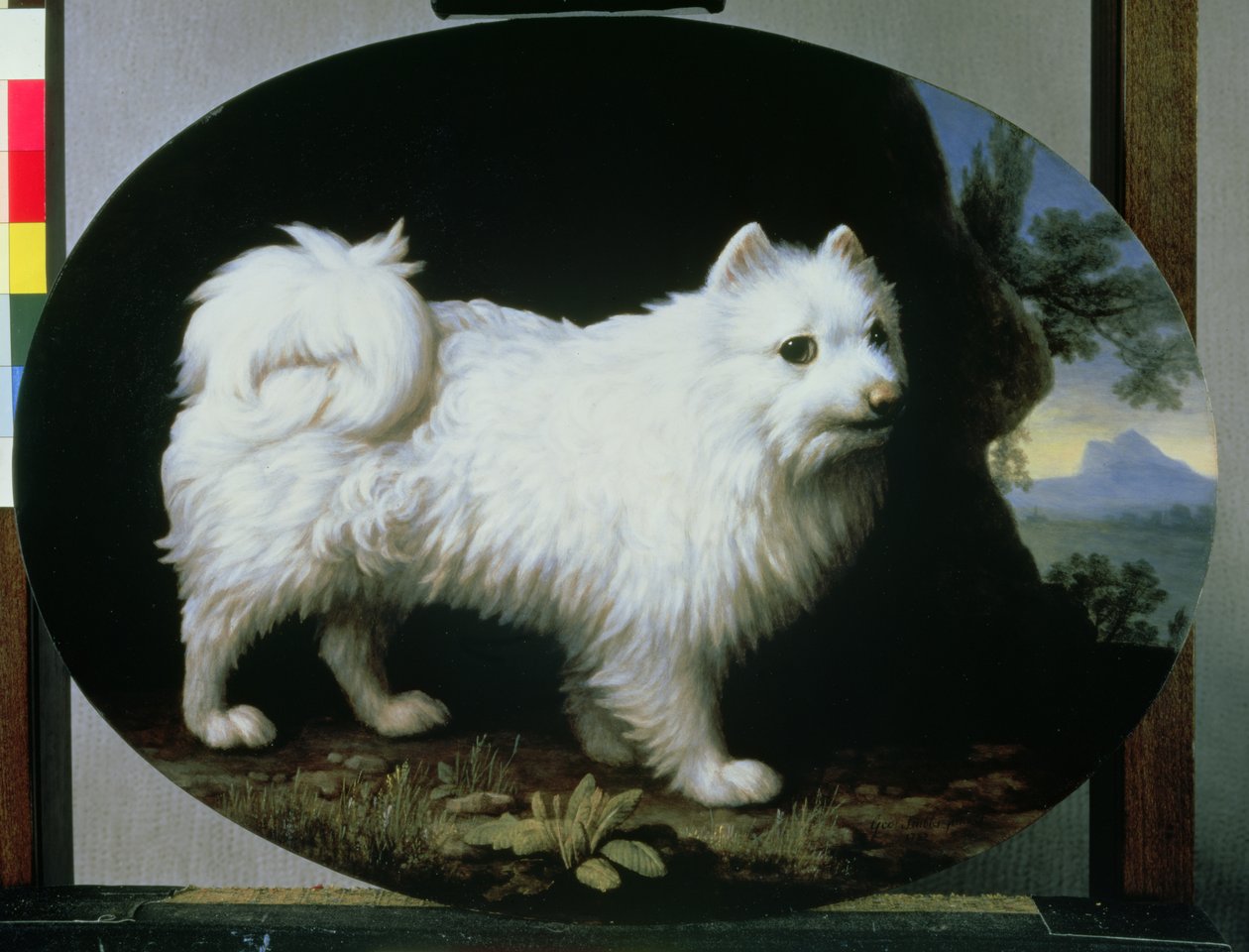 Rouva Frenchin valkoisen lapikoiran muotokuva, 1782 tekijältä George Stubbs