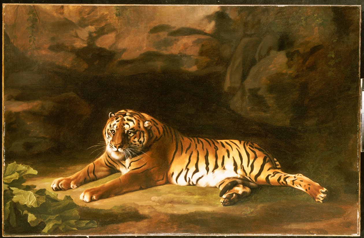 Kuninkaallisen tiikerin muotokuva, n. 1770 tekijältä George Stubbs