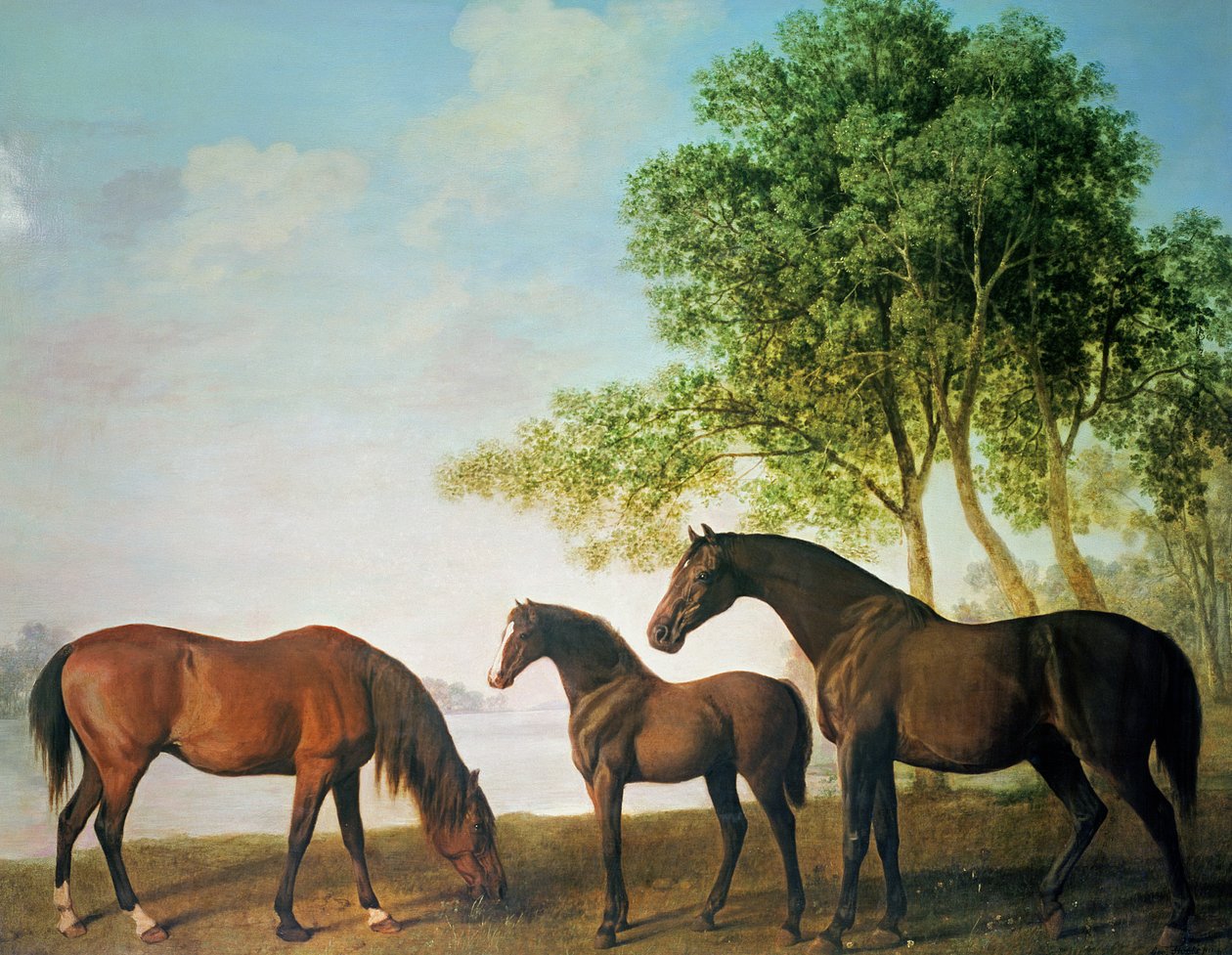 Shafto tammat ja varsa tekijältä George Stubbs