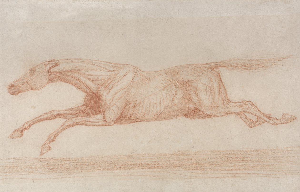 Tutkimus kilpahevosesta toiminnassa: laukkaa vasemmalle (punainen liitu kiillotuspaperilla) tekijältä George Stubbs