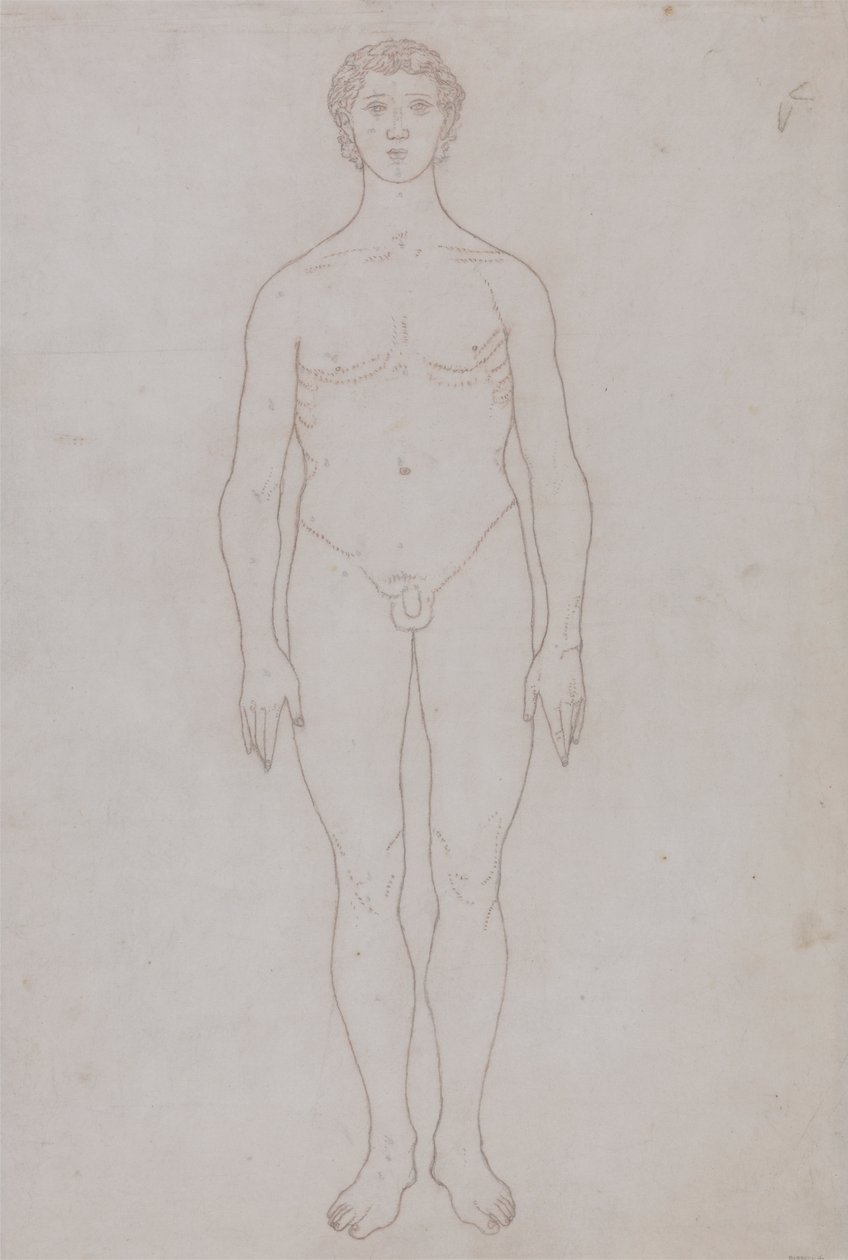 Tutkimus ihmishahmosta, etunäkymä (taulukon VI ääriviivapiirros) tekijältä George Stubbs