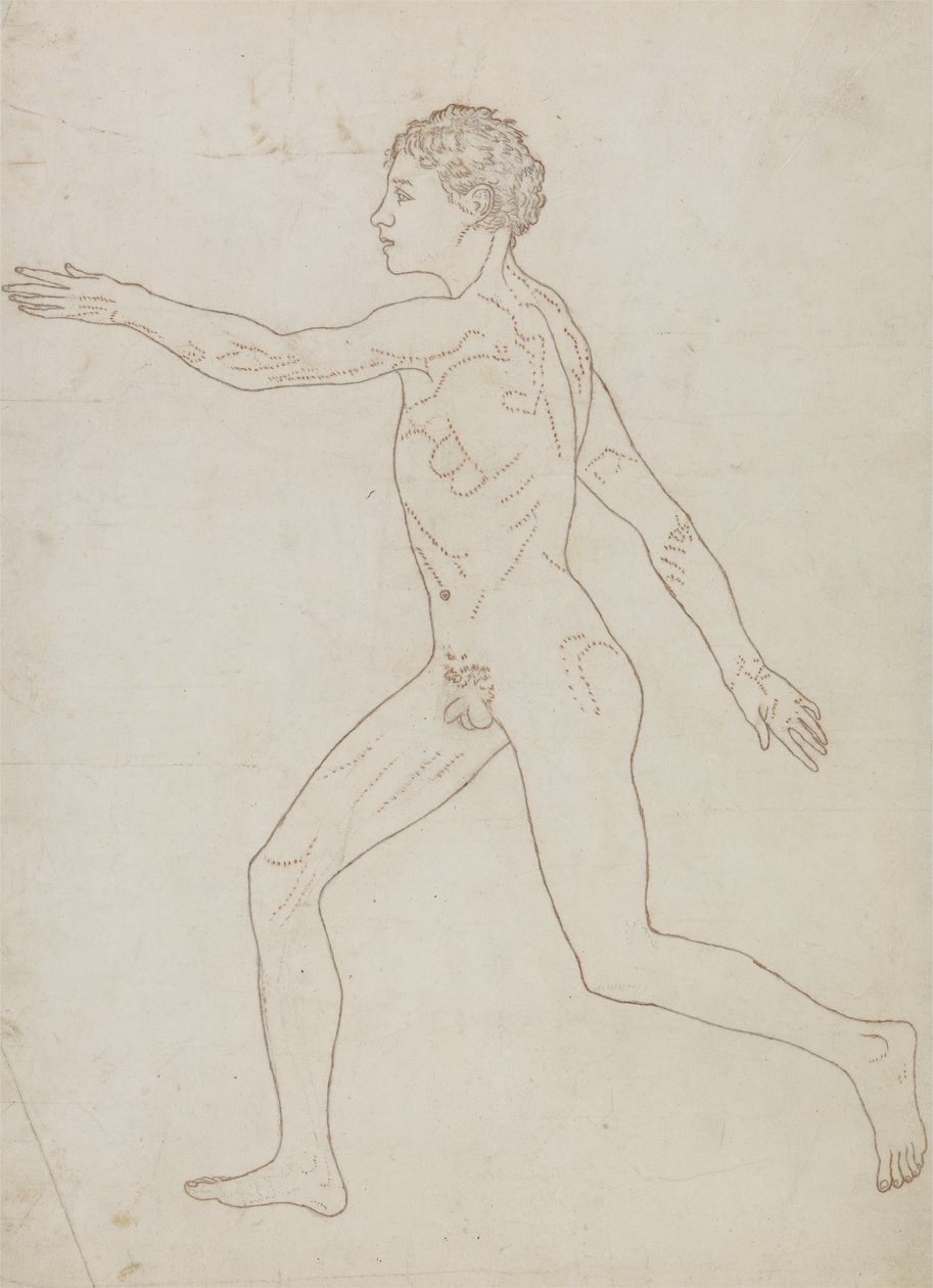 Tutkimus ihmishahmosta, sivuttaisnäkymä, julkaisusta "Vertaileva anatominen esitys ihmiskehon rakenteesta tiikerin ja linnun rakenteeseen", n. 1795-1806 (grafiitti paperille) tekijältä George Stubbs