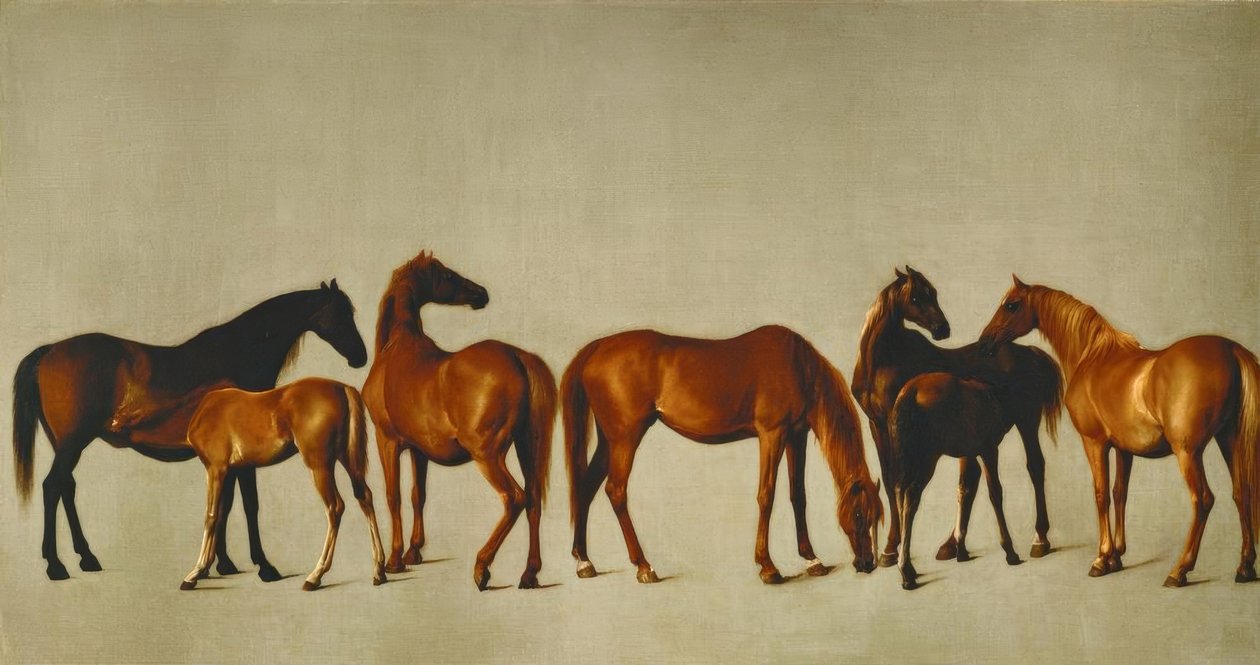 Stuten mit Füllen tekijältä George Stubbs