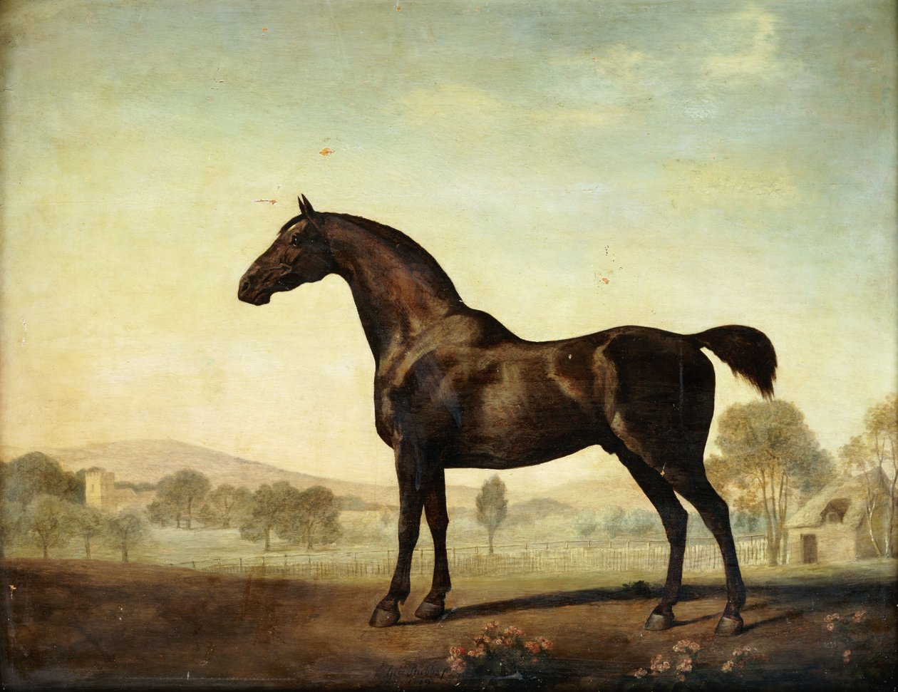 Sweetwilliam", Bay Racehorse, Paddockissa, 1779 tekijältä George Stubbs