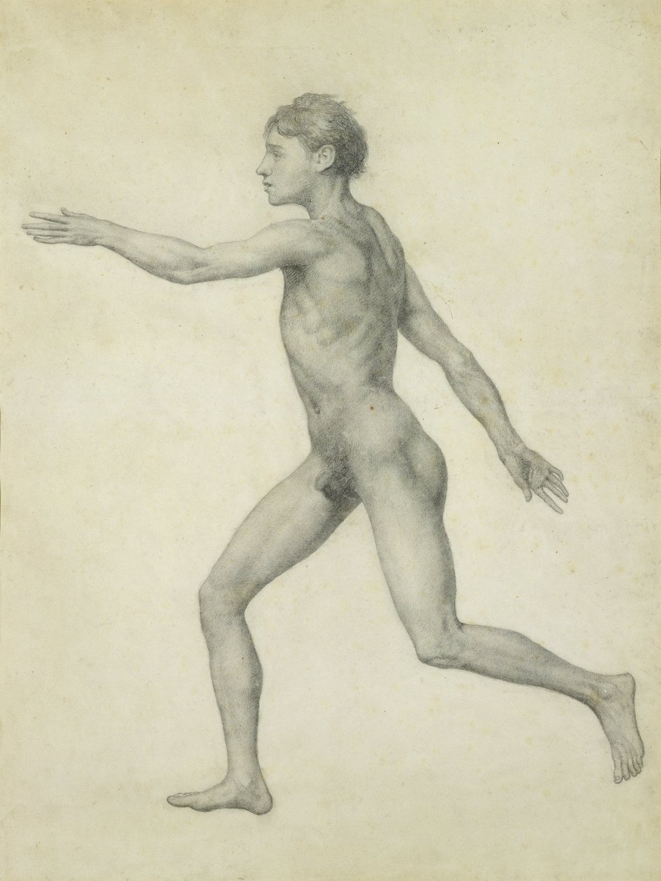 Koko ihmishahmo vasemmalta, sivulta katsottuna sarjasta "Vertaileva anatominen esitys ihmiskehon rakenteesta tiikerin ja linnun rakenteen kanssa tekijältä George Stubbs