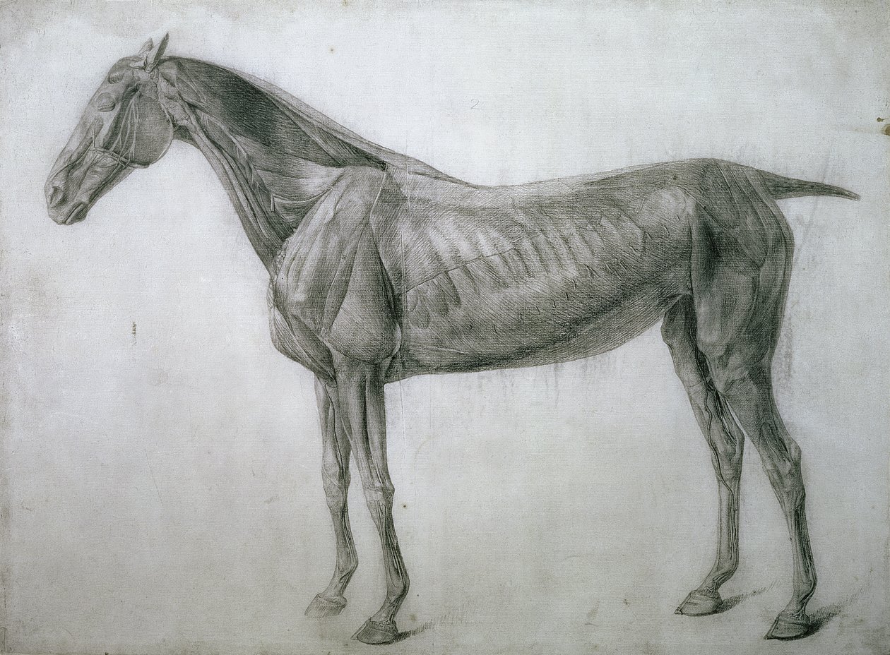 Huonekalut ja erilaiset esineet 1100- ja 1300-luvuilta tekijältä George Stubbs