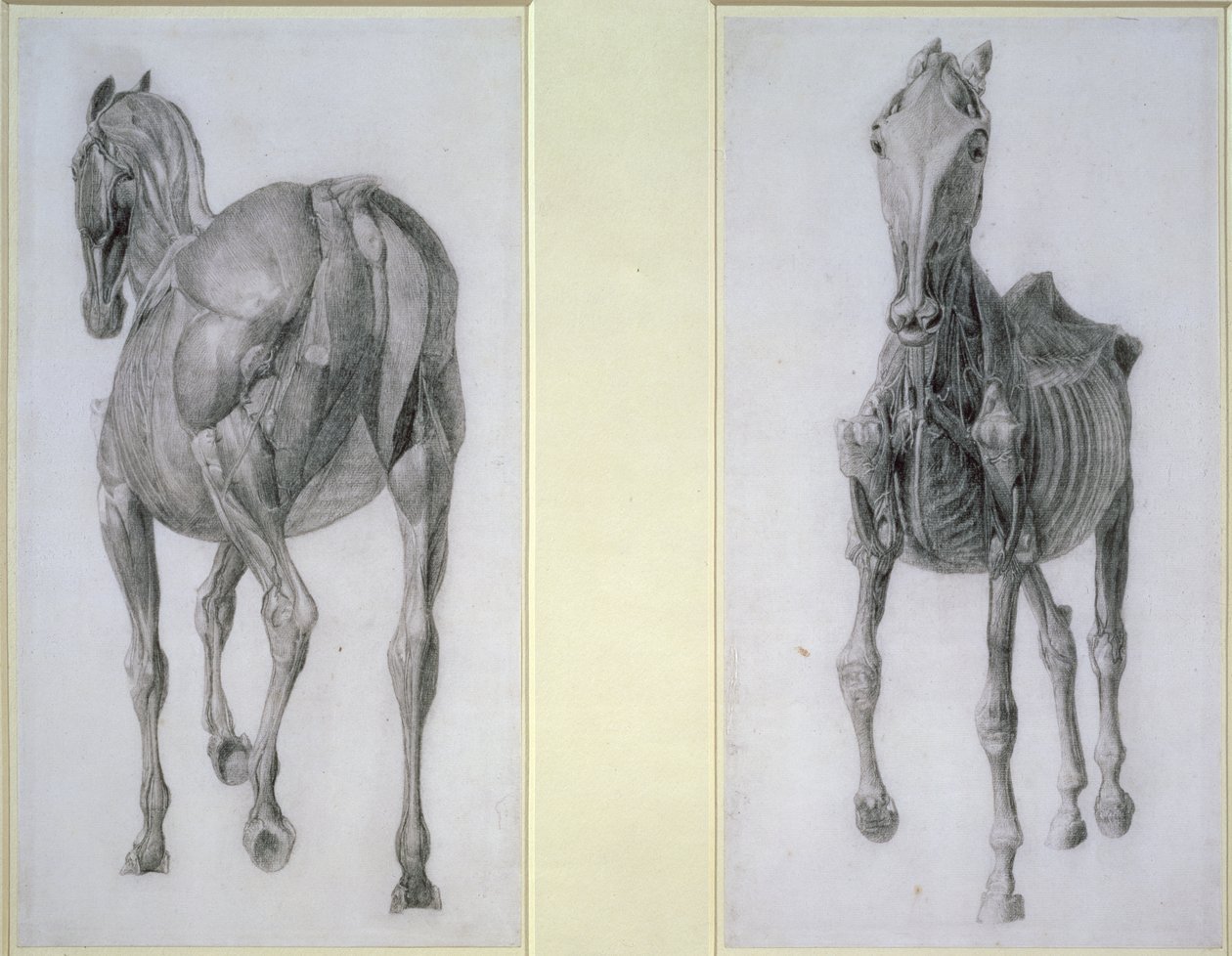 Huonekalut ja erilaiset esineet 1100- ja 1300-luvuilta tekijältä George Stubbs