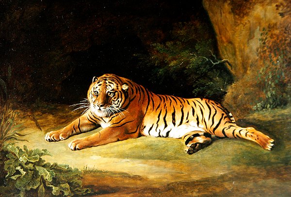 Tiger (öljy kankaalle) tekijältä George Stubbs