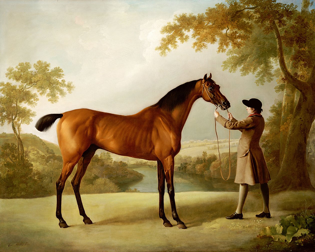 Tristram Shandy, sulhanen pitämä kilpahevonen laajassa maisemassa, n. 1760 tekijältä George Stubbs