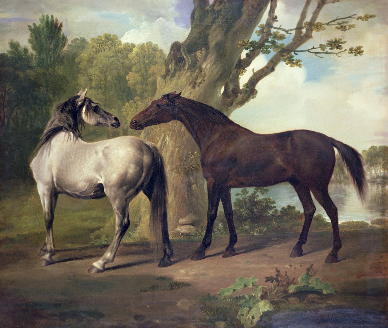 Kaksi hevosta maisemassa tekijältä George Stubbs