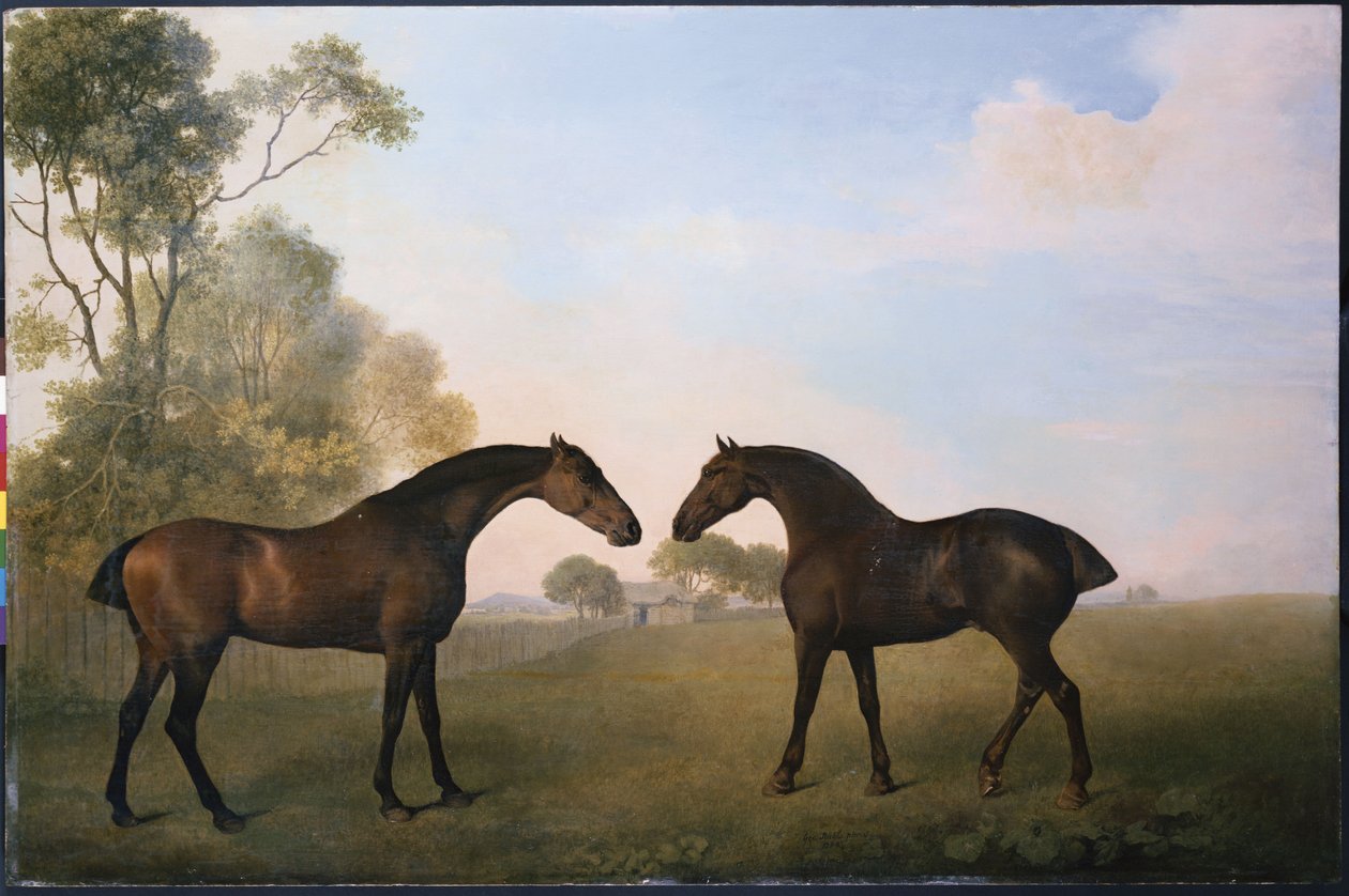 Kaksi Hunteria ulkona Grassissa tekijältä George Stubbs