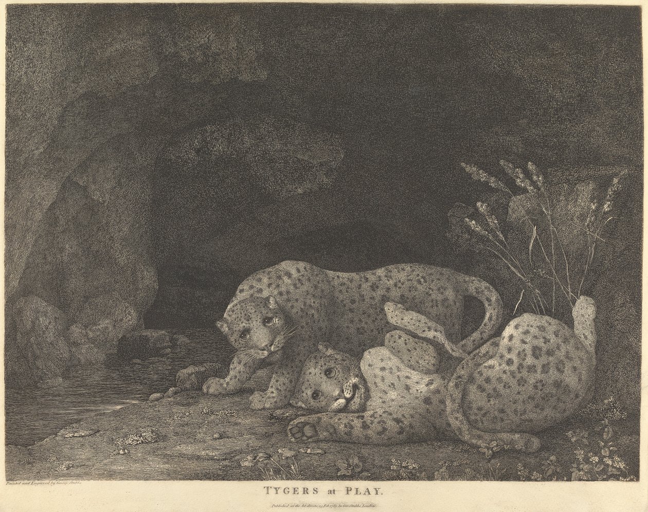 Tygers Playssa tekijältä George Stubbs