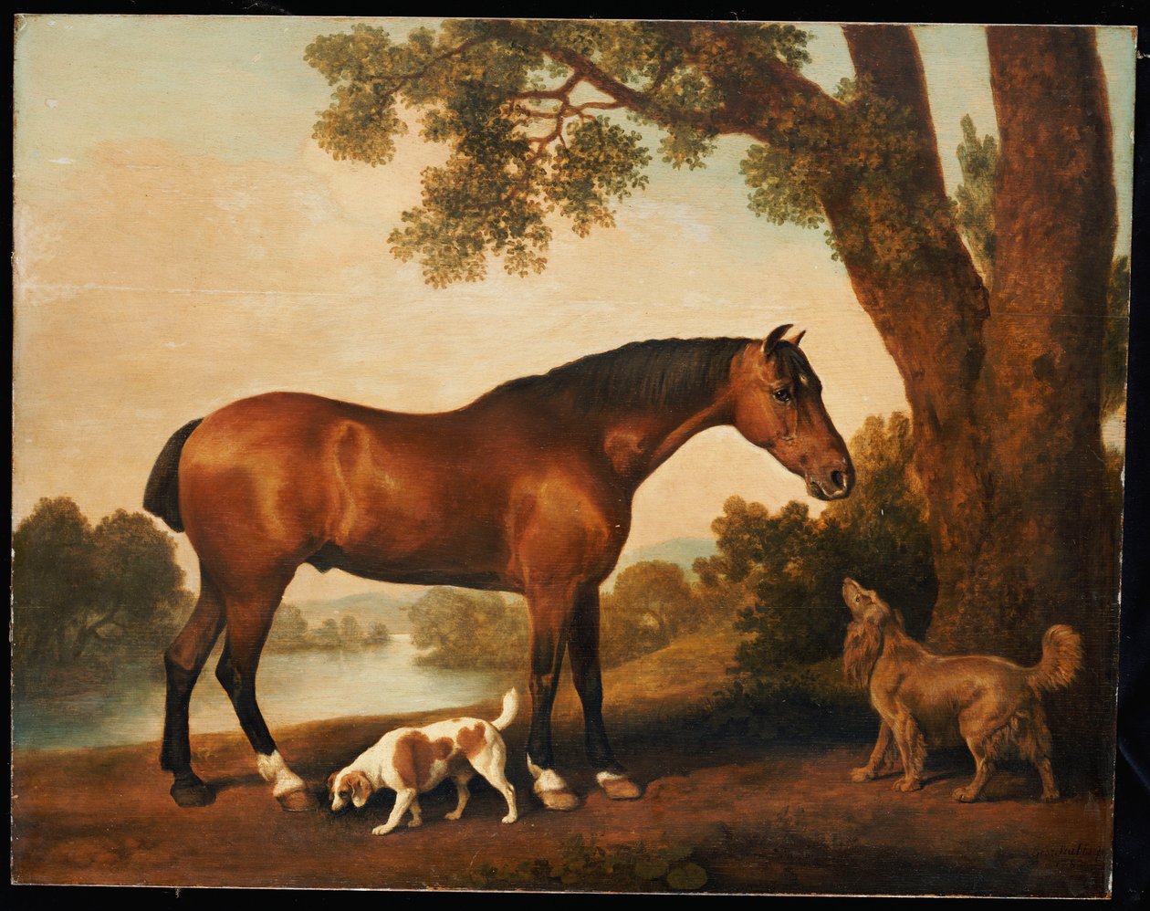 Tuntematon kuva tekijältä George Stubbs