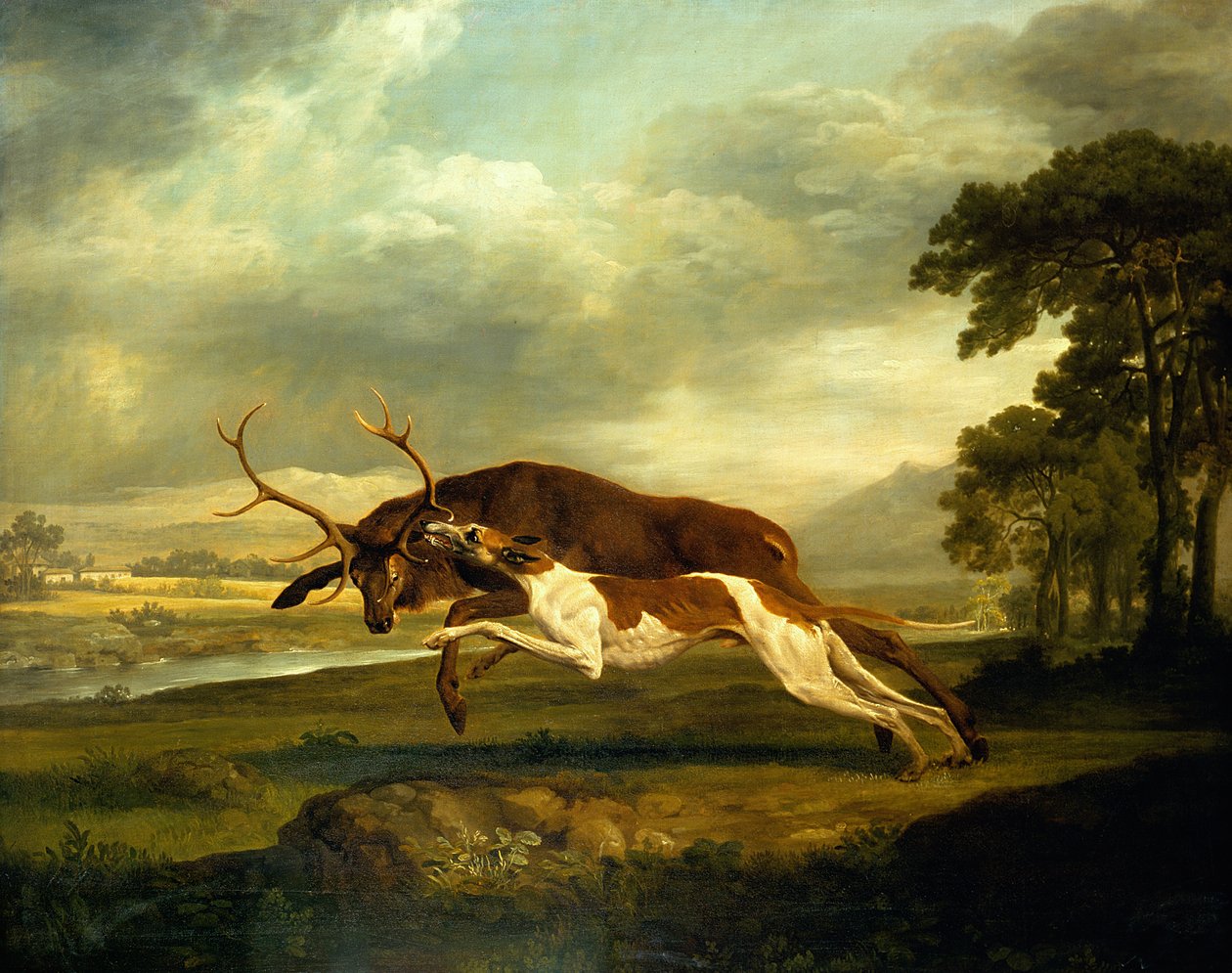Tuntematon kuva tekijältä George Stubbs