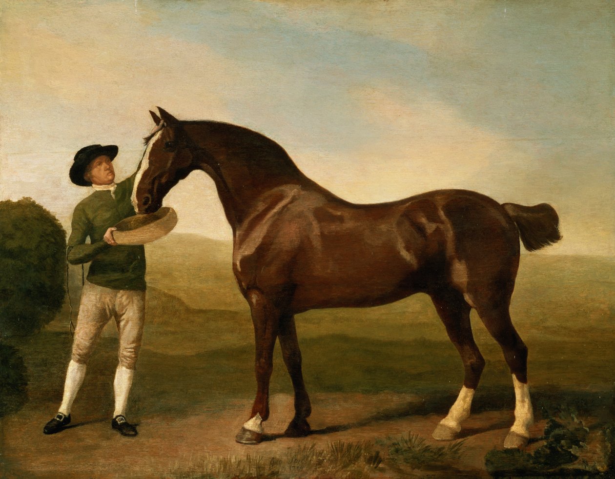 Tuntematon kuva tekijältä George Stubbs