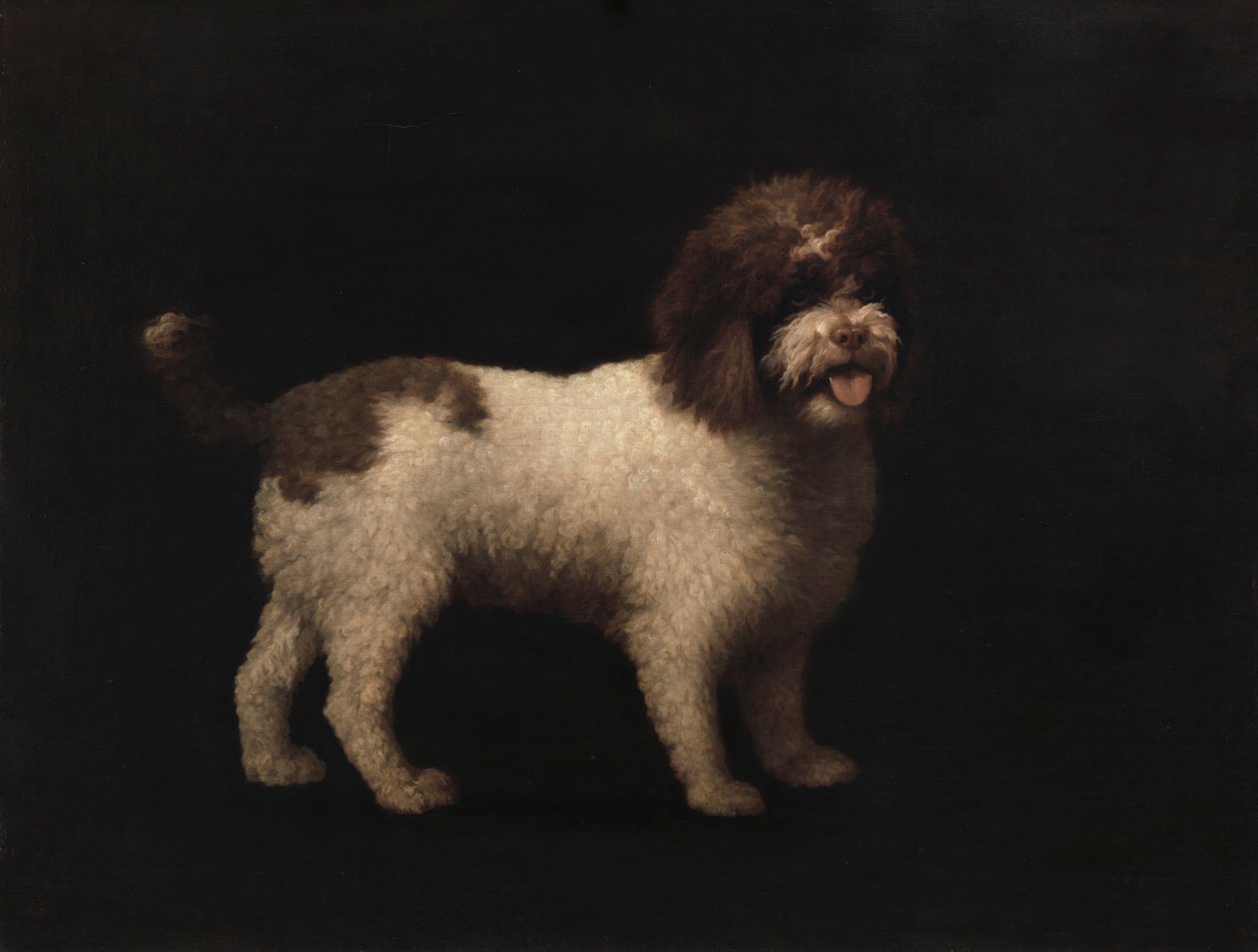 Vesispanieli tekijältä George Stubbs