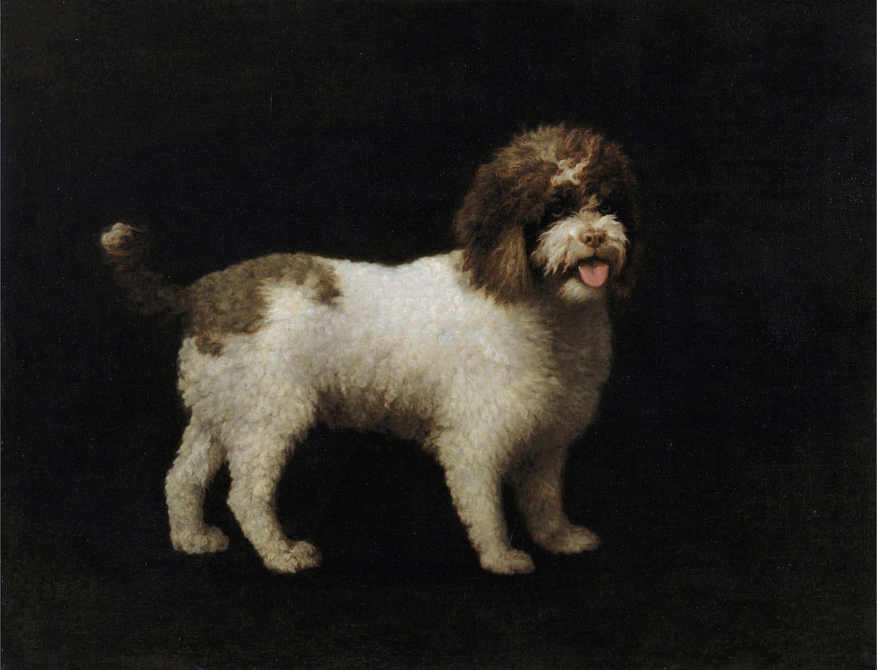 Vesispanieli tekijältä George Stubbs