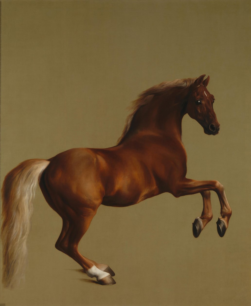 Whistlejacket tekijältä George Stubbs
