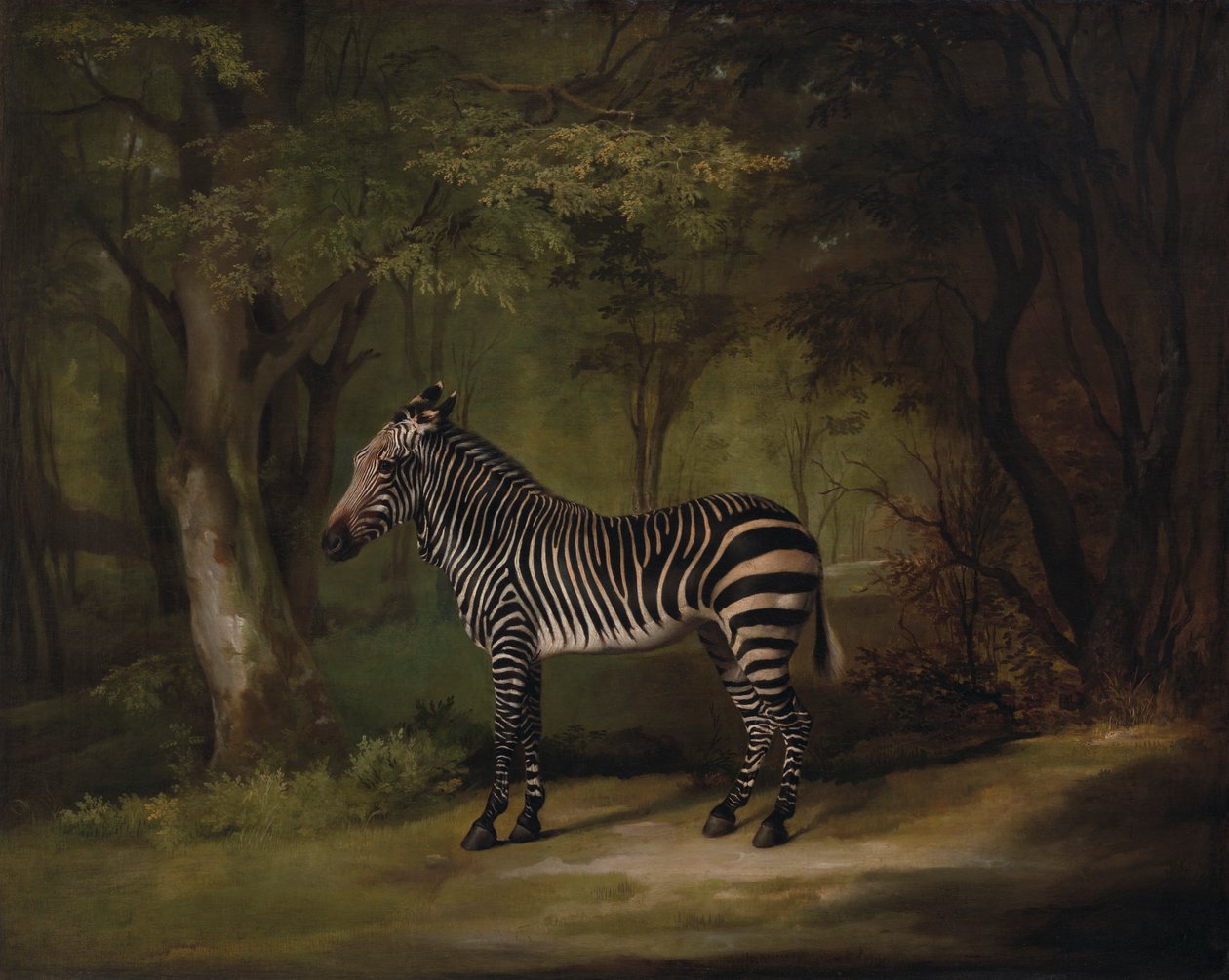 Seepra tekijältä George Stubbs