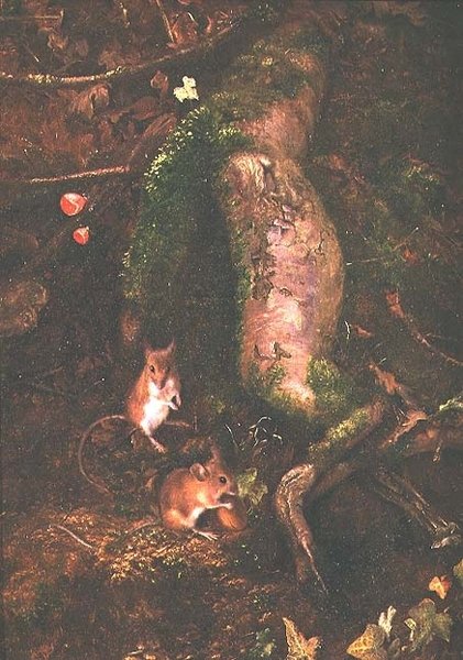Peltohiiriä puun juurella, 1876 tekijältä George Thomas Rope