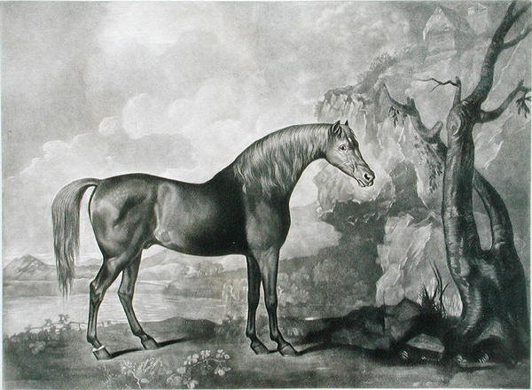 Brown Horse Mask, George Stubbsin mukaan, 1773 (mezzotint) tekijältä George Townley Stubbs