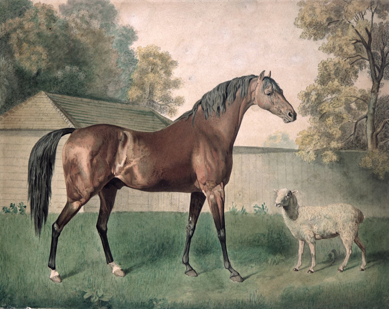 "Dungannon" (akvarelli paperille) tekijältä George Townley Stubbs
