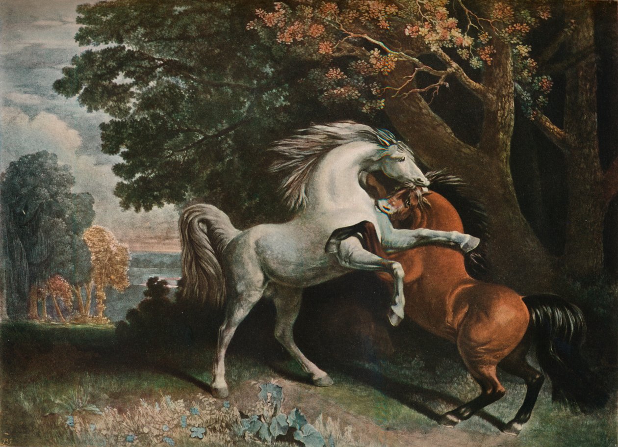Horses Fighting, 1700-luku, 1902 tekijältä George Townley Stubbs