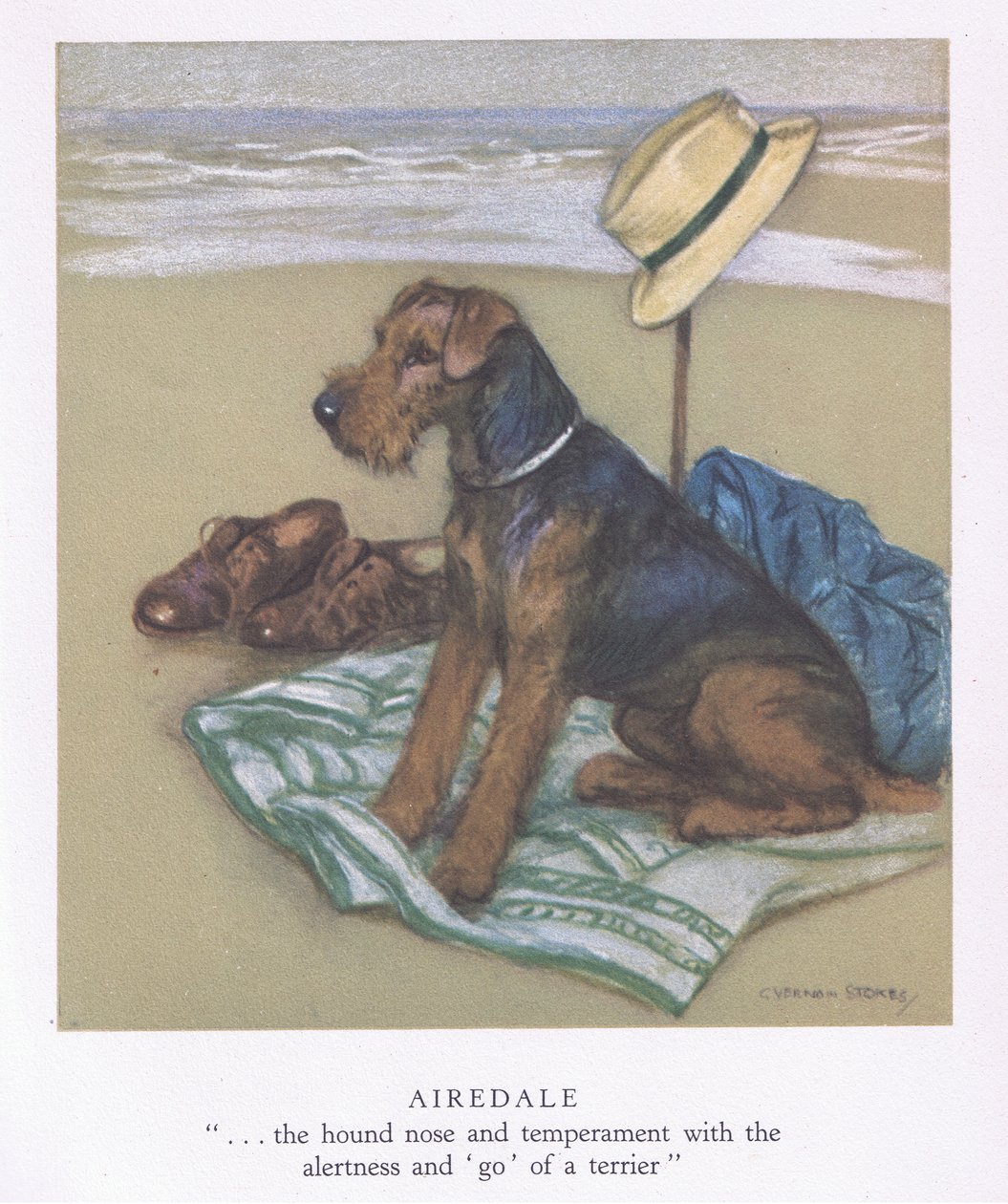 Airedale (värilitro) tekijältä George Vernon Stokes