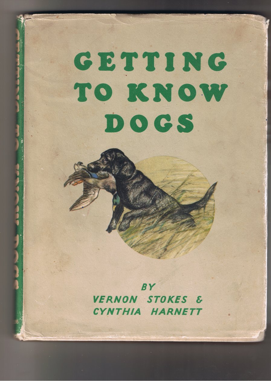 Etukansi Koiriin tutustuminen (värillinen litografia) tekijältä George Vernon Stokes