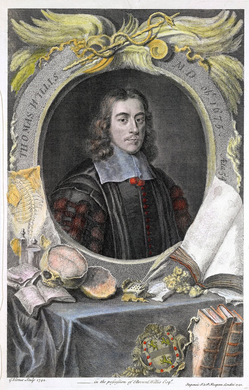Portrait du medecin anglais Thomas Willis (1622-1675).Thomas Willis (1621-1675) englantilainen lääkäri.Englantilaisen graafikon George Vertuen käsin väritetty kaiverrus. ©UIG/Leemage tekijältä George Vertue