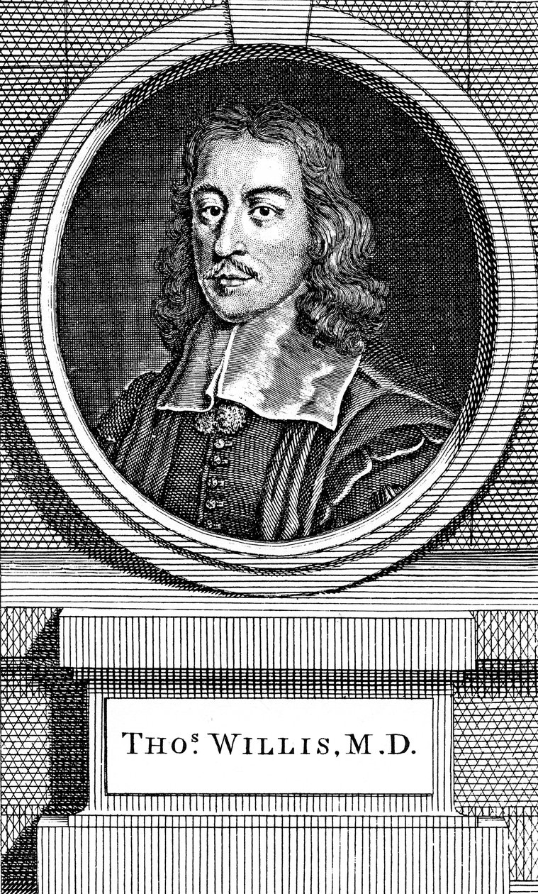 Thomas Willis, 1600-luvun englantilainen lääkäri, 1742 tekijältä George Vertue