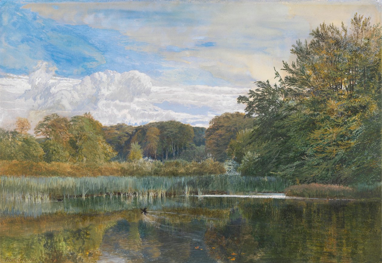 Mill Pond, Evelyn Woods tekijältä George Vicat Cole