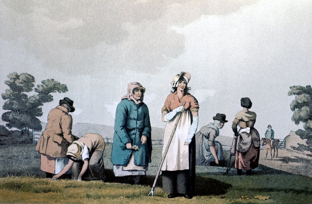 Lowkers - naiset, jotka kitkeivät maissia, 1814 tekijältä George Walker of Seacroft