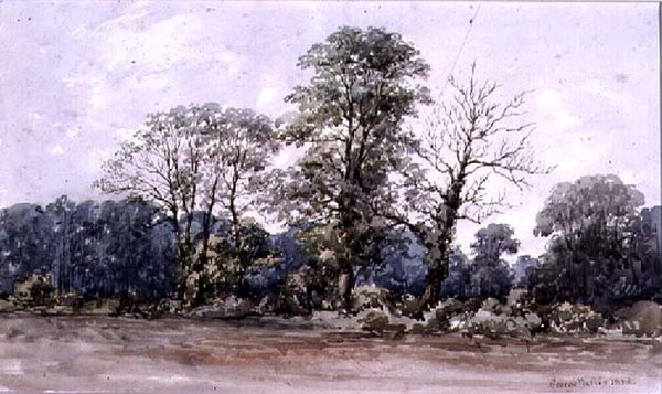 Puut Perry Barissa lähellä Birminghamia, 1800-luku tekijältä George Augustus Wallis